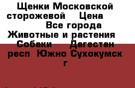 Щенки Московской сторожевой  › Цена ­ 25 000 - Все города Животные и растения » Собаки   . Дагестан респ.,Южно-Сухокумск г.